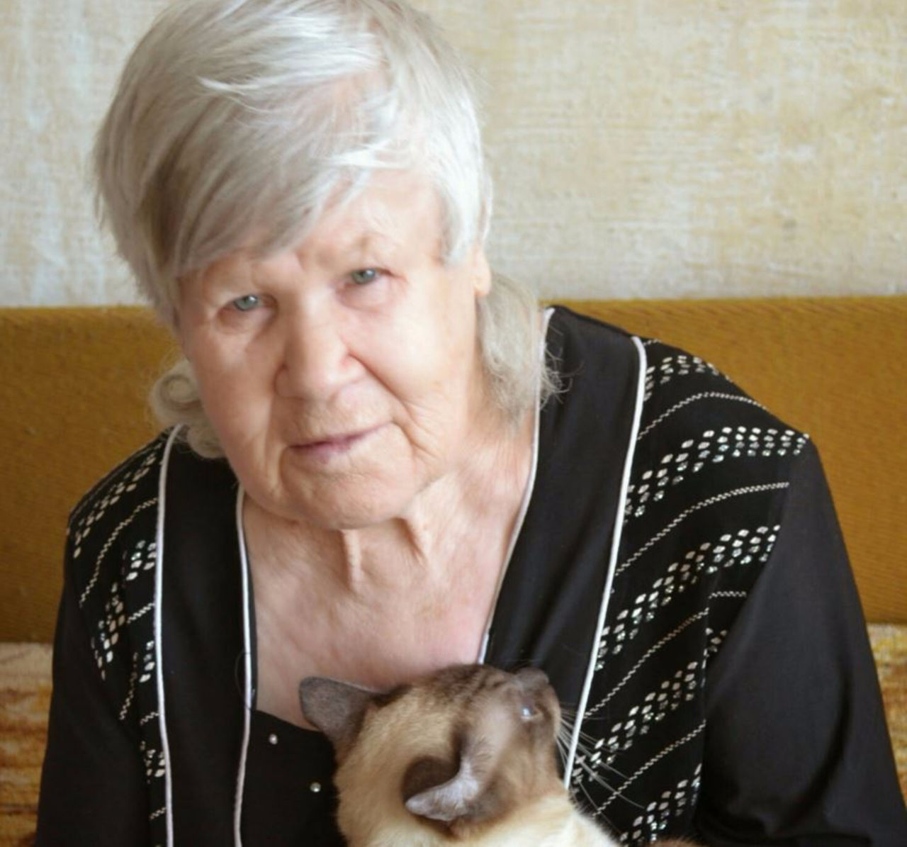 Тетка тома. Бабушка и кошка фото.